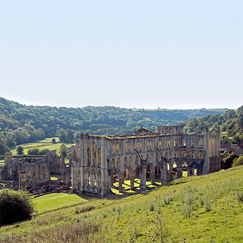 Looking down a grassy hill to the tall ruins of Rievaulx Abbey