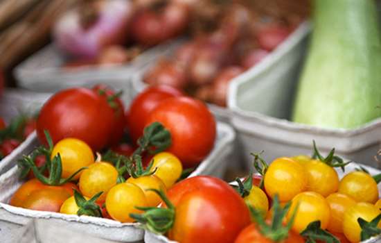 Some red and yellow tomatoes in a tray